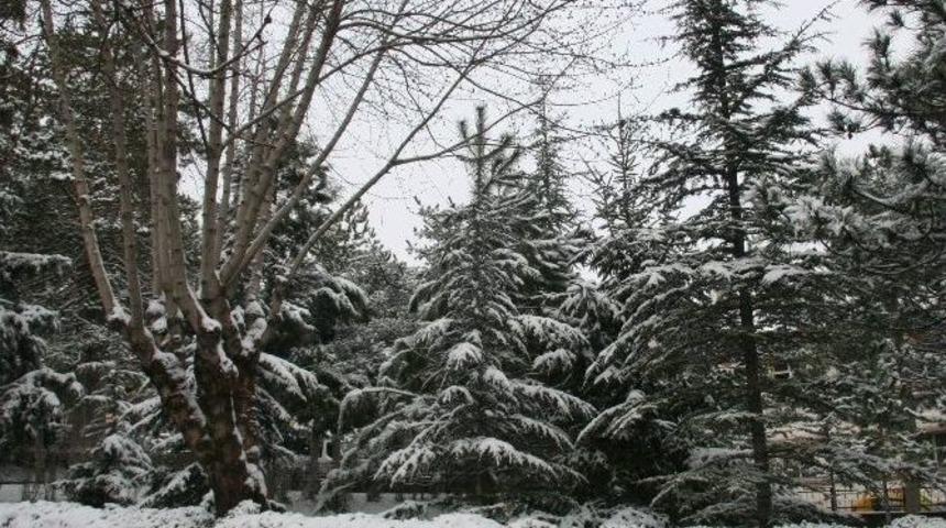 Afyonkarahisar&rsquo;da Kar Yağışı