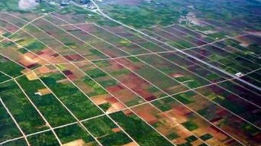 Aydın&rsquo;da 31 Bin Hektar Alanda Toplulaştırma Ger&ccedil;ekleştirilecek