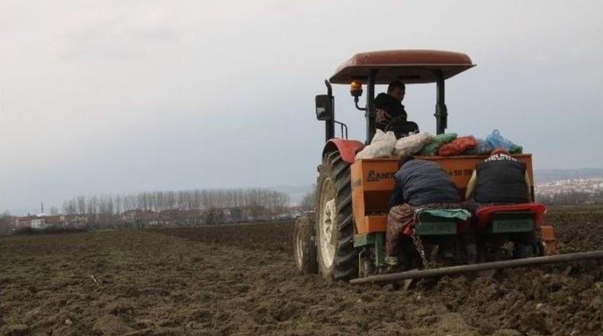 İneg&ouml;l&rsquo;de Patates Ekimi Başladı
