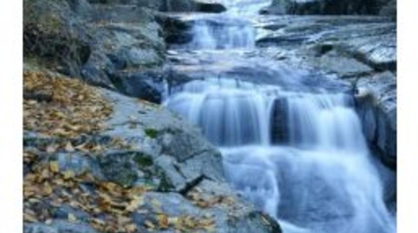 D&uuml;nya Su G&uuml;n&uuml;