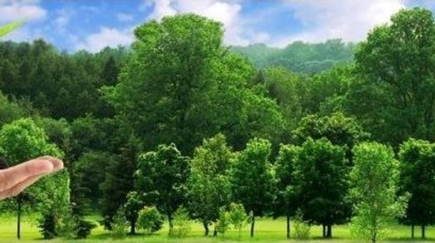 &Ouml;zdilek&rsquo;ten Her Nefes İ&ccedil;in Bir Fidan