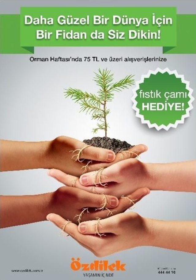 Özdilek’ten Her Nefes İçin Bir Fidan