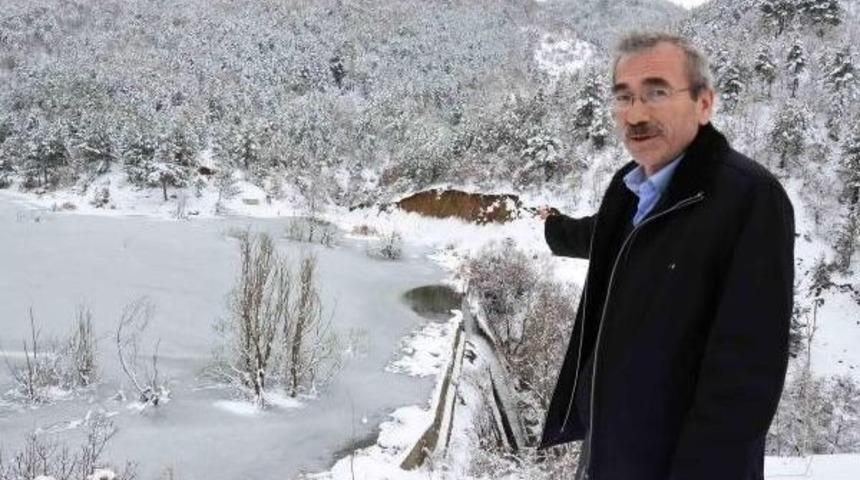 &Ccedil;i&ccedil;ek A&ccedil;an Ağa&ccedil;lar Karla Kaplandı