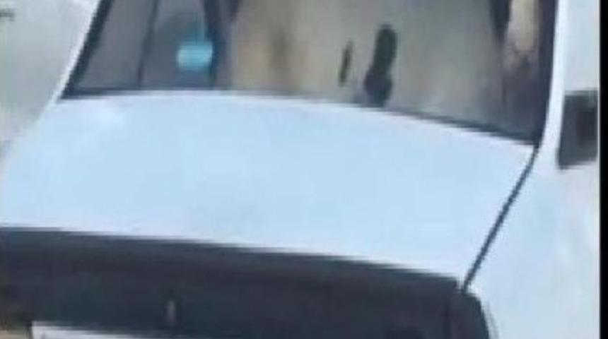 Otomobilde Inek Taşıdılar