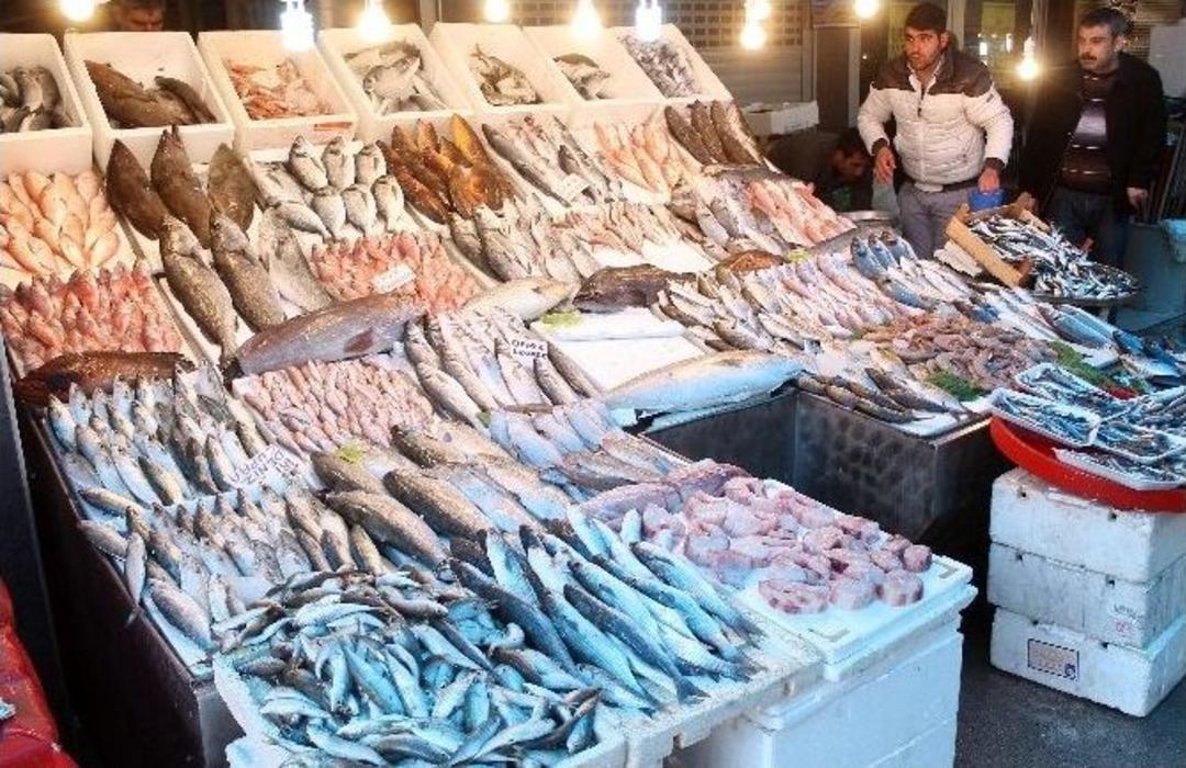 Ana&ccedil; Balıklarla Denizlerde Balık Sıkıntısı Kalmayacak