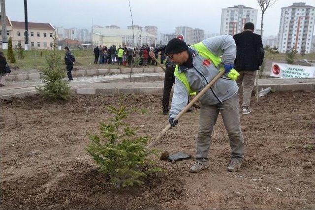 Erü’ye ‘daha Yeşil Kampüs’ İçin 100 Fidan Dikildi