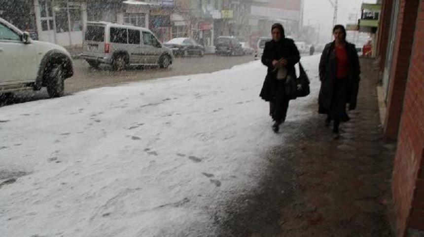 Başkale Beyaza B&uuml;r&uuml;nd&uuml;