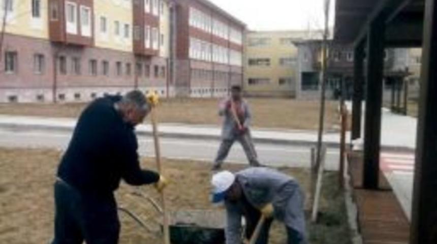 Erzincan &Uuml;niversitesinde Peyzaj &Ccedil;alışmaları