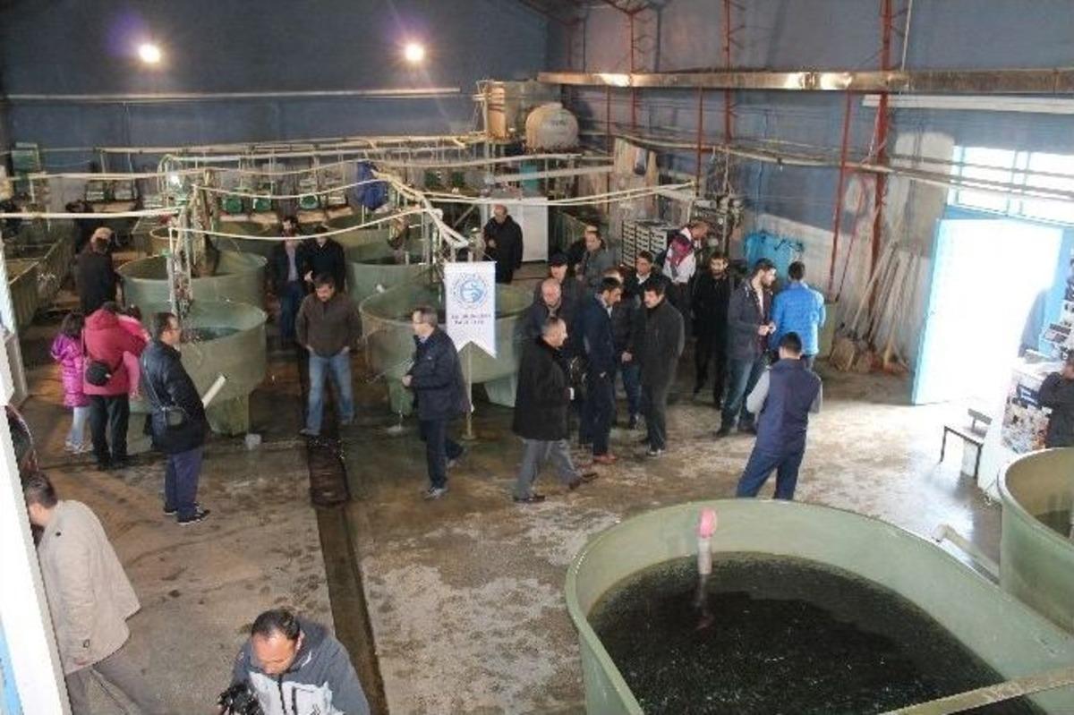 Erzurum Gazeteciler Cemiyeti&rsquo;nden Balık-ekmek Ş&ouml;leni