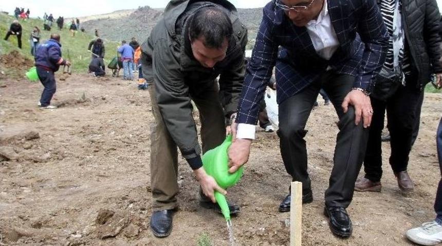 İzmir&rsquo;de Evlenen Her &Ccedil;ifte Bir Fidan