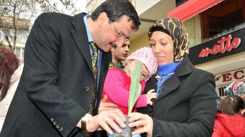 Nevruz Ke&ccedil;i&ouml;ren&rsquo;de Lalelerle Kutlandı