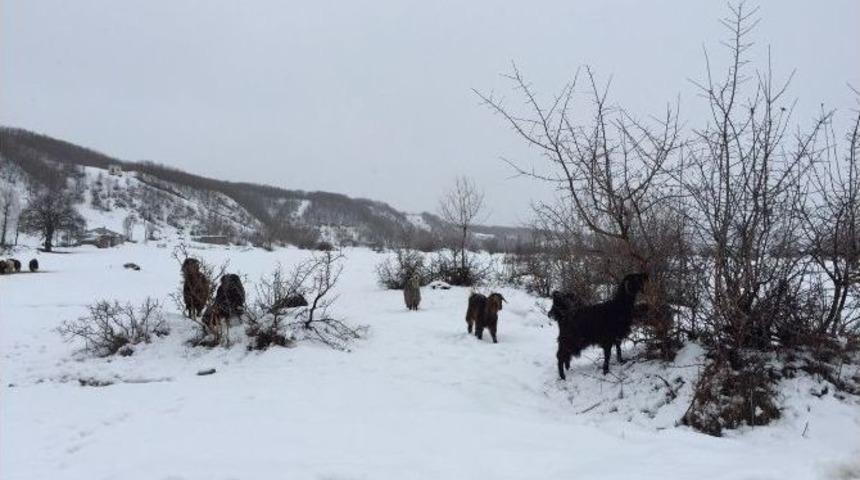 Bing&ouml;l&rsquo;&uuml;n Yedisu İl&ccedil;esi Mart Ayında Beyaza B&uuml;r&uuml;nd&uuml;