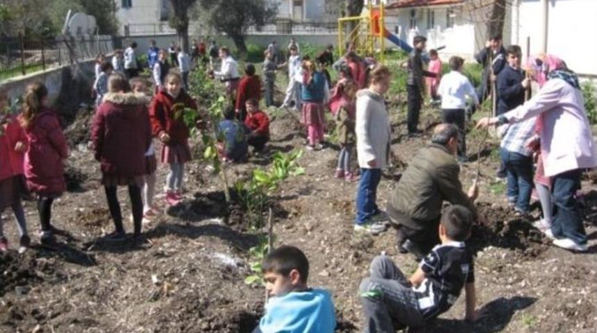 Urla&rsquo;da Meyve Fidanları Toprakla Buluşuyor