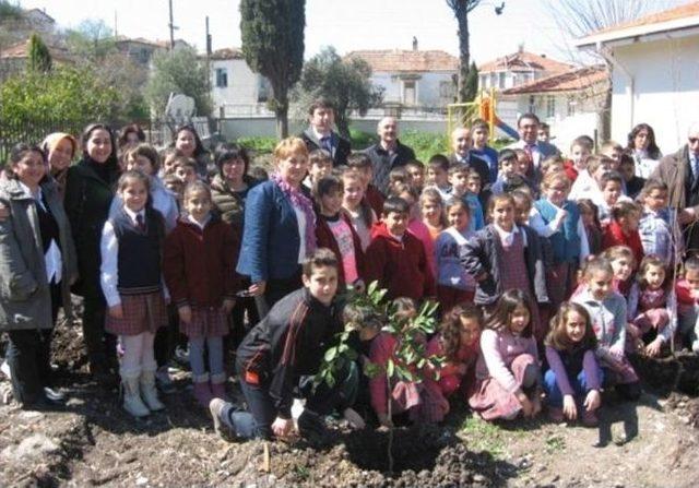 Urla’da Meyve Fidanları Toprakla Buluşuyor 1