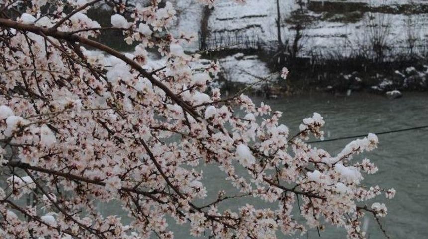 Tunceli&rsquo;de Kar Yağışı K&ouml;y Yollarını Ulaşıma Kapadı
