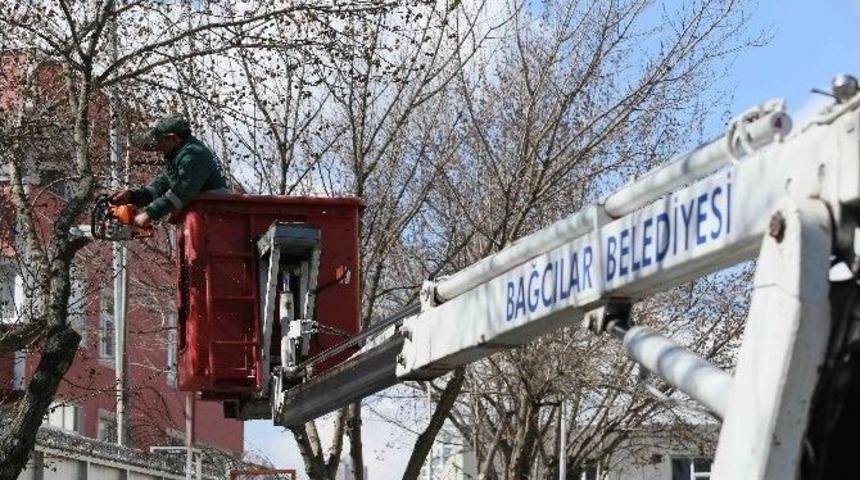 Bağcılar Bahara &Ccedil;i&ccedil;eklerle &rsquo;merhaba&rsquo; Diyecek