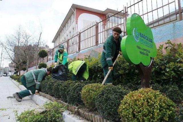 Bağcılar Bahara Çiçeklerle ’merhaba’ Diyecek