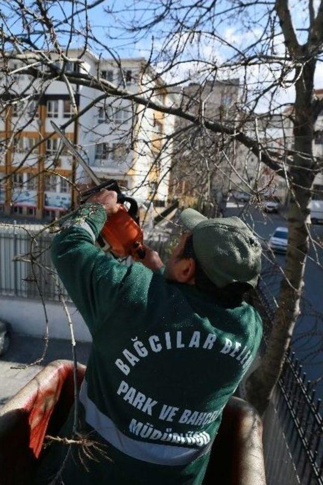 Bağcılar Bahara Çiçeklerle ’merhaba’ Diyecek