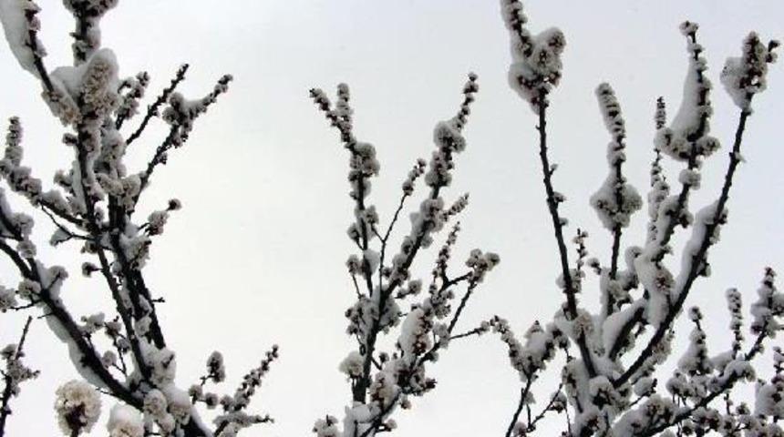 Baharı Bekleyen Şırnak Kar Altında