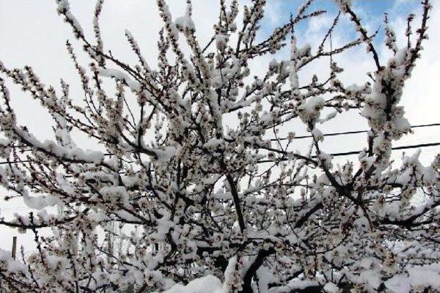 Baharı Bekleyen Şırnak Kar Altında