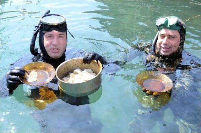 Yalıkavak'ta Deniz Dibi Temizlendi