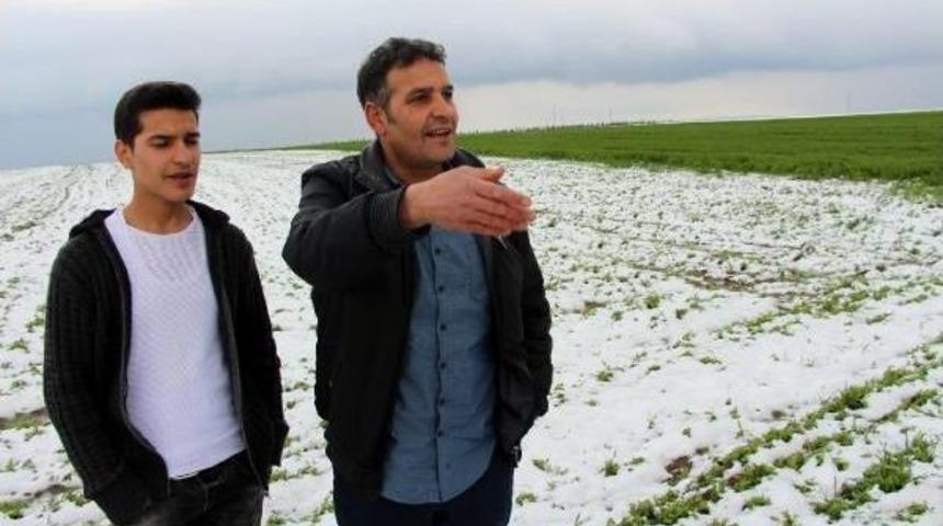 Batman'da Piknik Hazırlığındaki Ailelere Kar S&uuml;rprizi