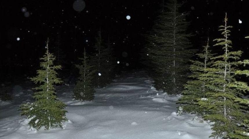 Kayıp Diye Ormanlık Alanda Aranan Kadın Bir Saat Sonra D&ouml;nd&uuml;