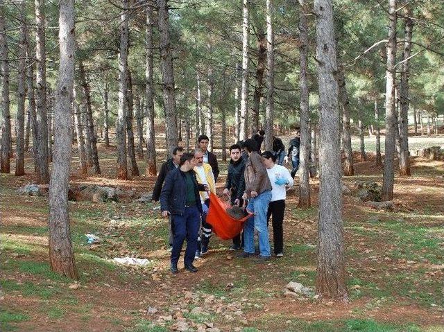 Genç Kız, Ormanlık Alanda İntihara Teşebbüs Etti