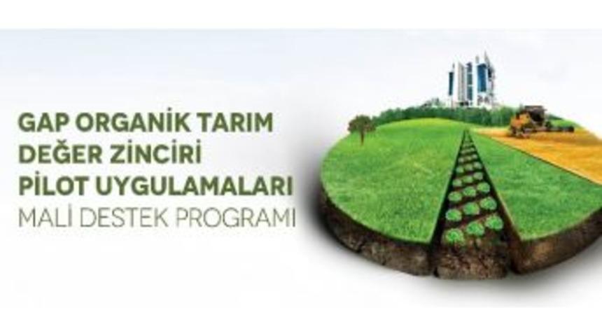 Organik Tarıma Hibe Desteği