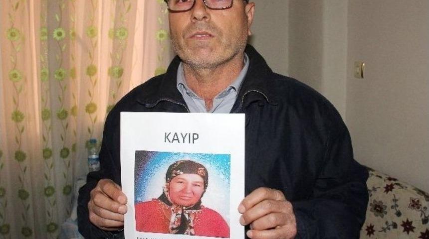 &Uuml;vey Anne 5 G&uuml;nd&uuml;r Kayıp