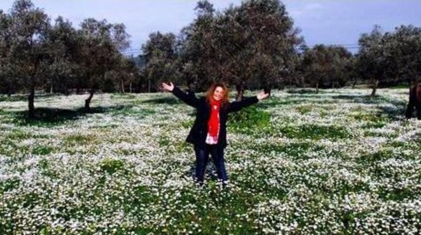 G&uuml;neşi G&ouml;ren Sahile Ve Kırlara Koştu