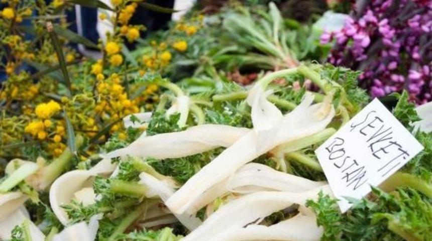 Ege'nin 300 &Ccedil;eşit Otu Şifa Deposu