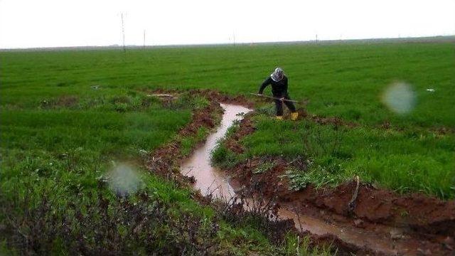 Türkiye’de Suyun Yüzde 70’i Tarımda Harcanıyor