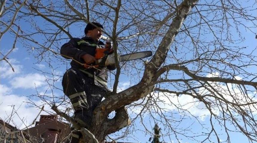 Meram&rsquo;da Bahar Hazırlıkları