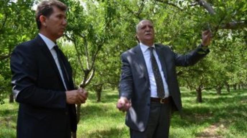 Niğde&rsquo;de Soğuklar Teğet Ge&ccedil;ti