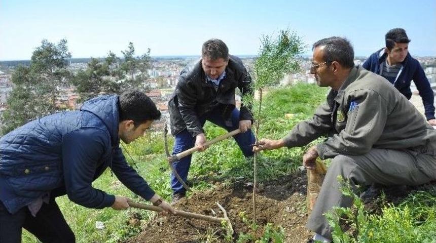 Agd&rsquo;den T&uuml;rkbeleni&rsquo;ne &Ccedil;anakkale Şehitleri İ&ccedil;in Fidan