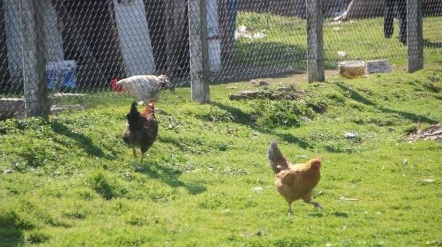 Amat&ouml;r Ma&ccedil;ta İlgin&ccedil; Enstantaneler