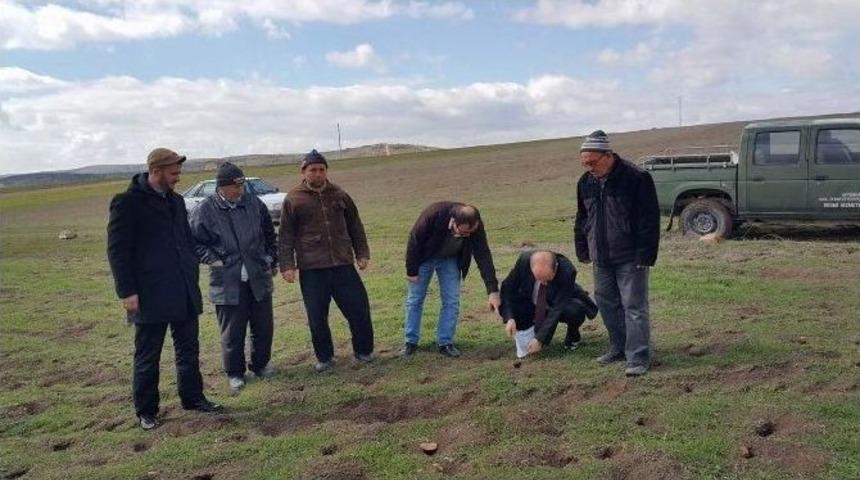 Afyonkarahisar&rsquo;da Tarla Faresi İle M&uuml;cadele &Ccedil;alışmaları