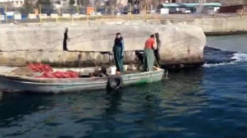 Masada Ya Da Tezgahtaki Tehlike: Midye