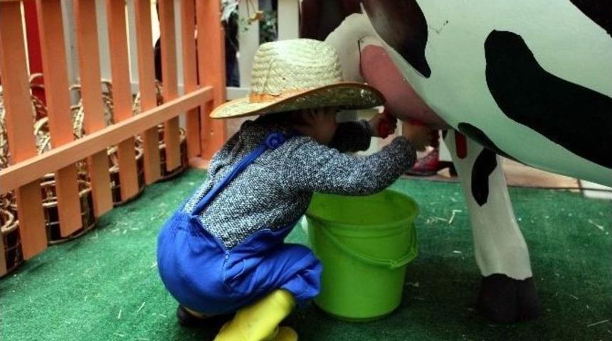 Ali Baba&rsquo;nın Masal &Ccedil;iftliği Miniklere Orman Kazandıracak