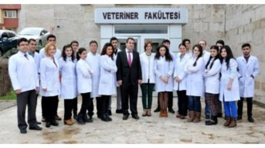 Azerbaycanlı &Ouml;ğrenciler Staj İ&ccedil;in Om&uuml;&rsquo;de