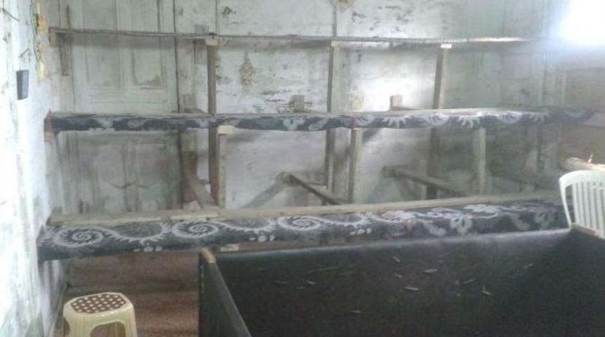 Jandarmadan Horoz D&ouml;v&uuml;ş&uuml; Baskını