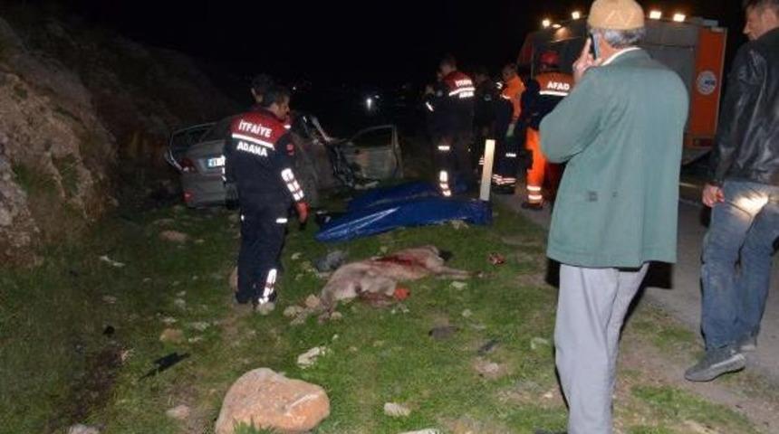 K&ouml;peğe &Ccedil;arpan Otomobil Takla Attı: 2 &Ouml;l&uuml;