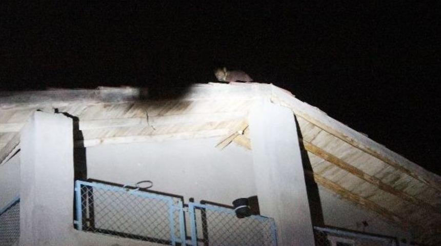 (&ouml;zel Haber) Atlamak İ&ccedil;in &Ccedil;ıktığı &Ccedil;atıdan Ağabey Tokadı İndirdi