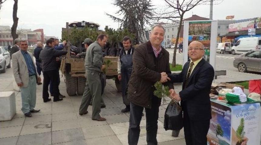 D&uuml;zce&rsquo;de 3 Bin 200 Fidan Dağıtıldı