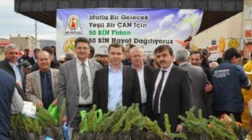 Ormanı Korumak, Uygarlığın G&ouml;stergesidir