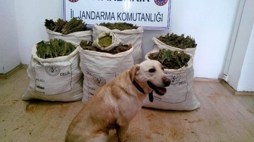 Diyarbakır&rsquo;da 102 Kilogram Esrar Ele Ge&ccedil;irildi