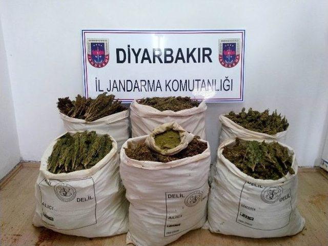 Diyarbakır’da 102 Kilogram Esrar Ele Geçirildi