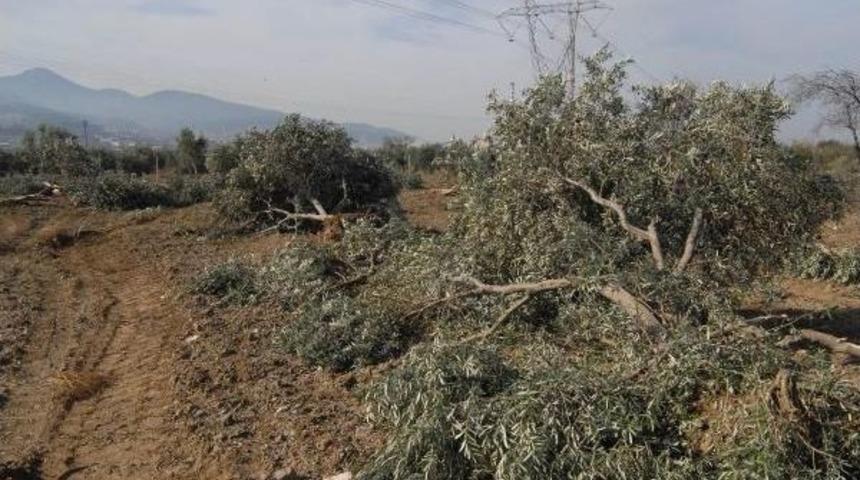 Soma'daki Yeni Tartışma; Ger&ccedil;ek Yırcalı, Sahte Yırcalı