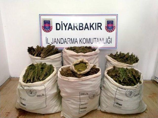 Diyarbakır'da 102 Kilo Esrar Ele Geçirildi